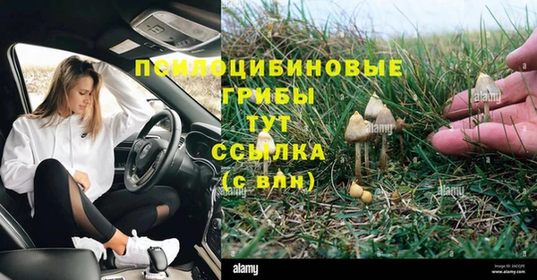 СК Армянск