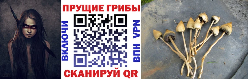 Псилоцибиновые грибы MAGIC MUSHROOMS  Купить закладки  Кяхта 